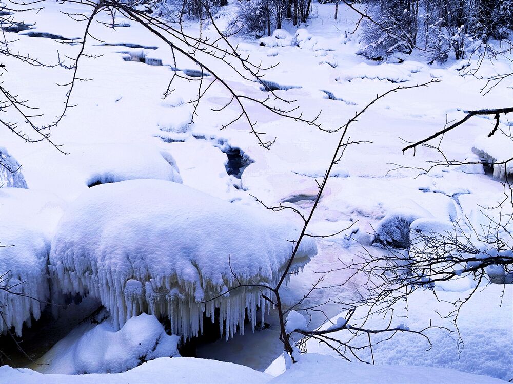 Karelia. 2023. Cold. (7)
