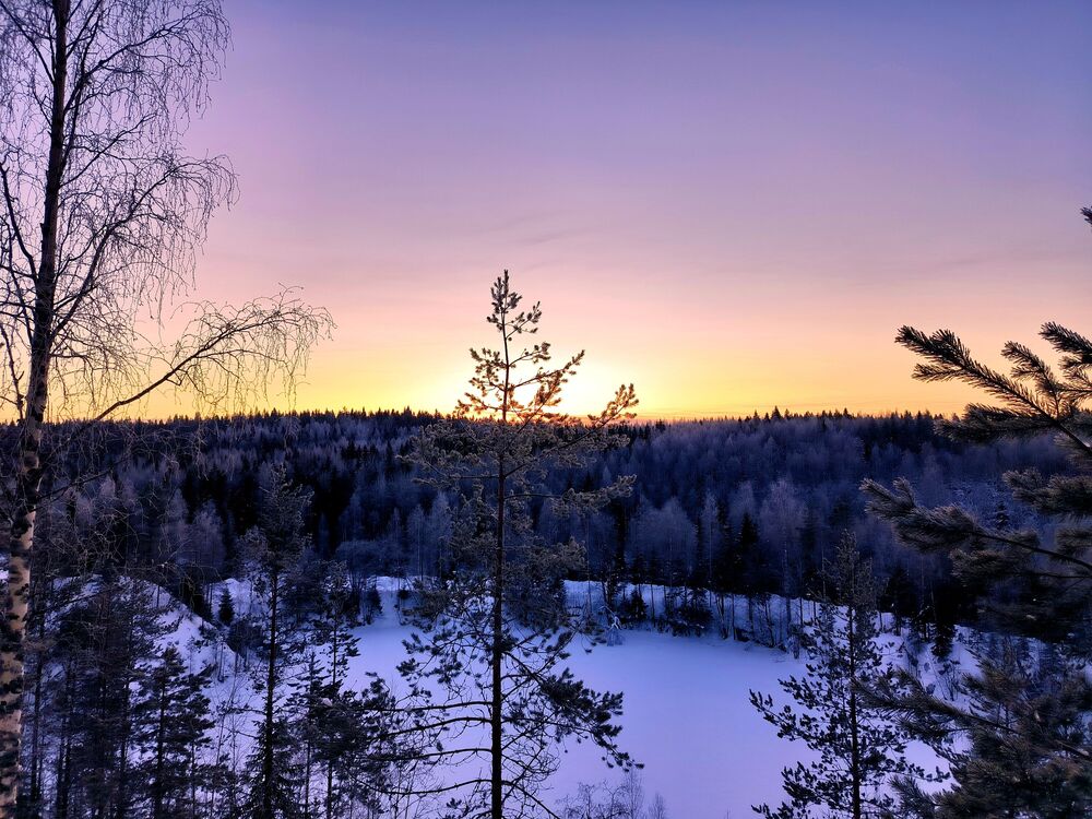 Karelia. 2023. Cold. (2)