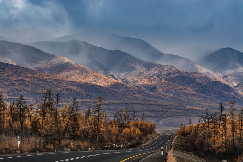 Осень (2)