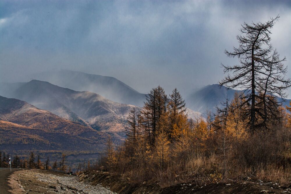 Осень (7)