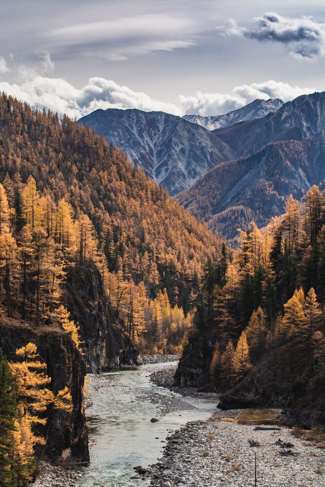Осень (8)