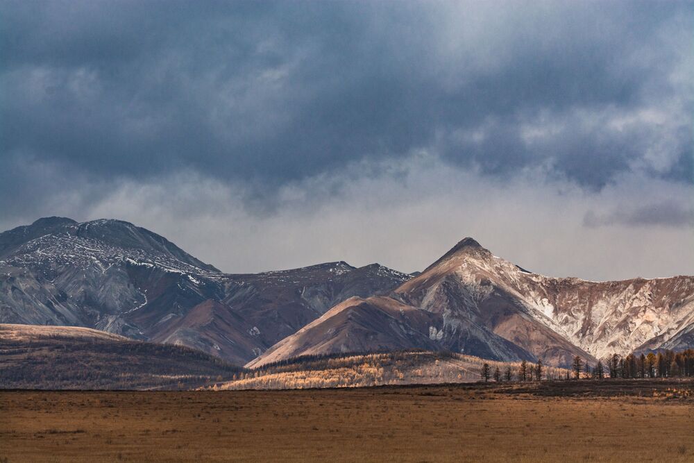 Осень (9)
