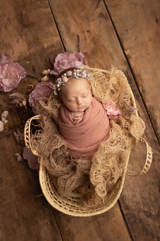 Anna (4)
