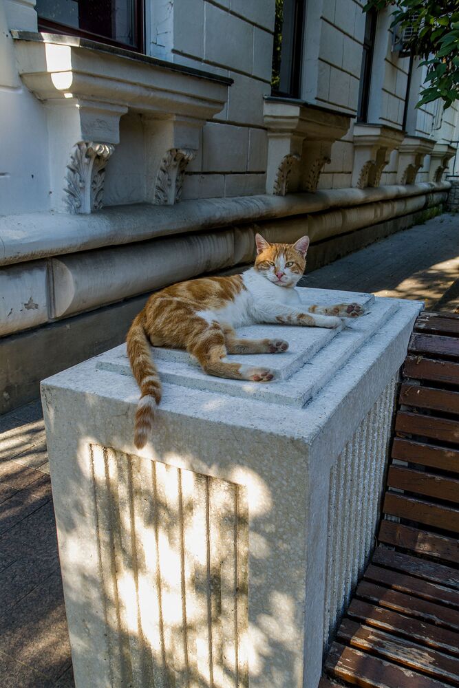Натурщик / Sculptor's Model (7)