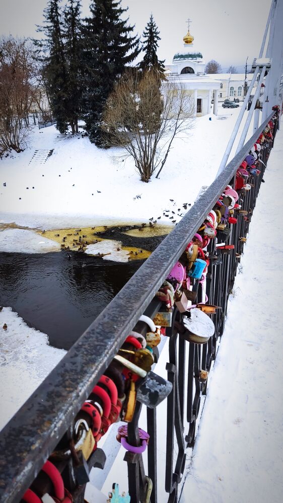 Photo #10396019 (8)