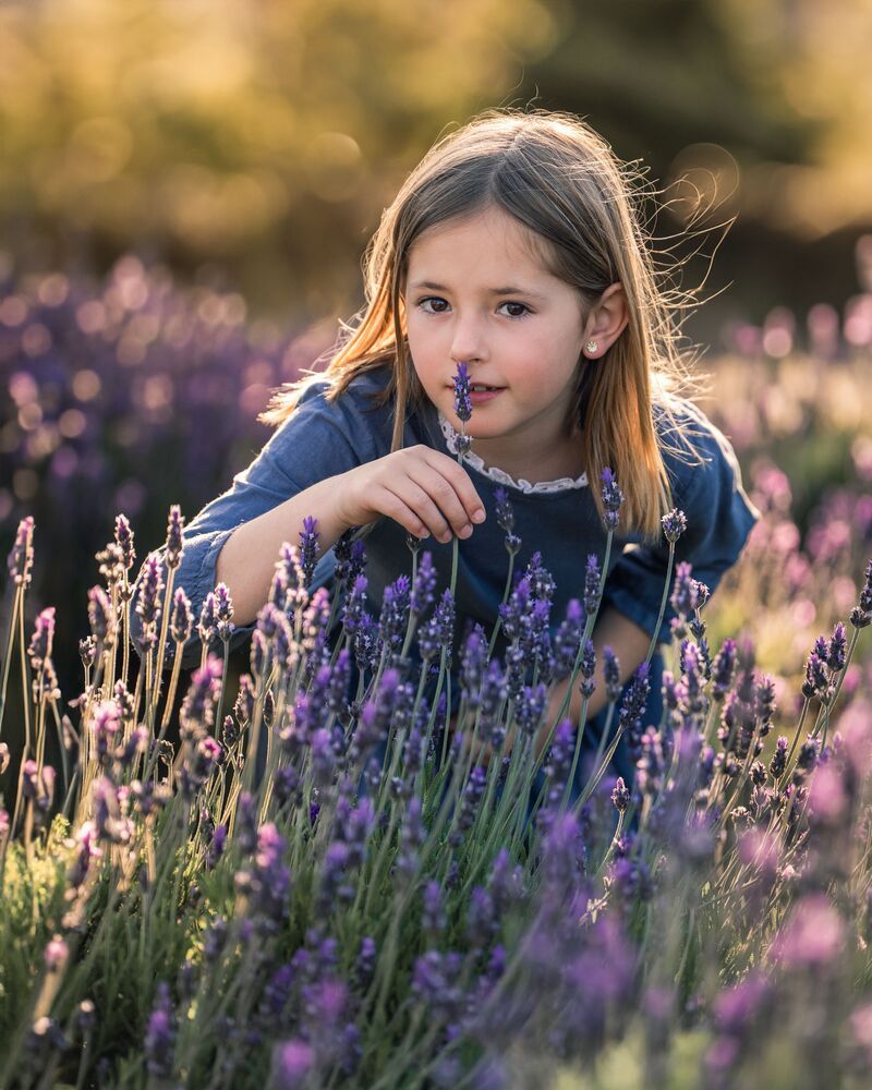 Lavender (2)