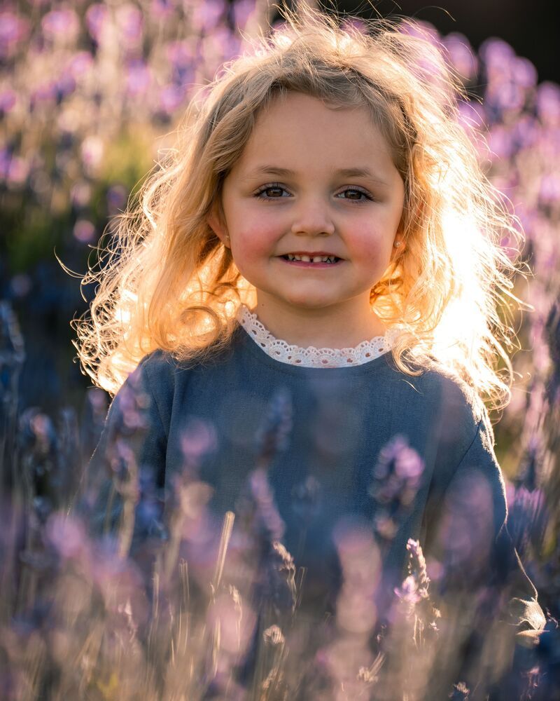 Lavender (4)