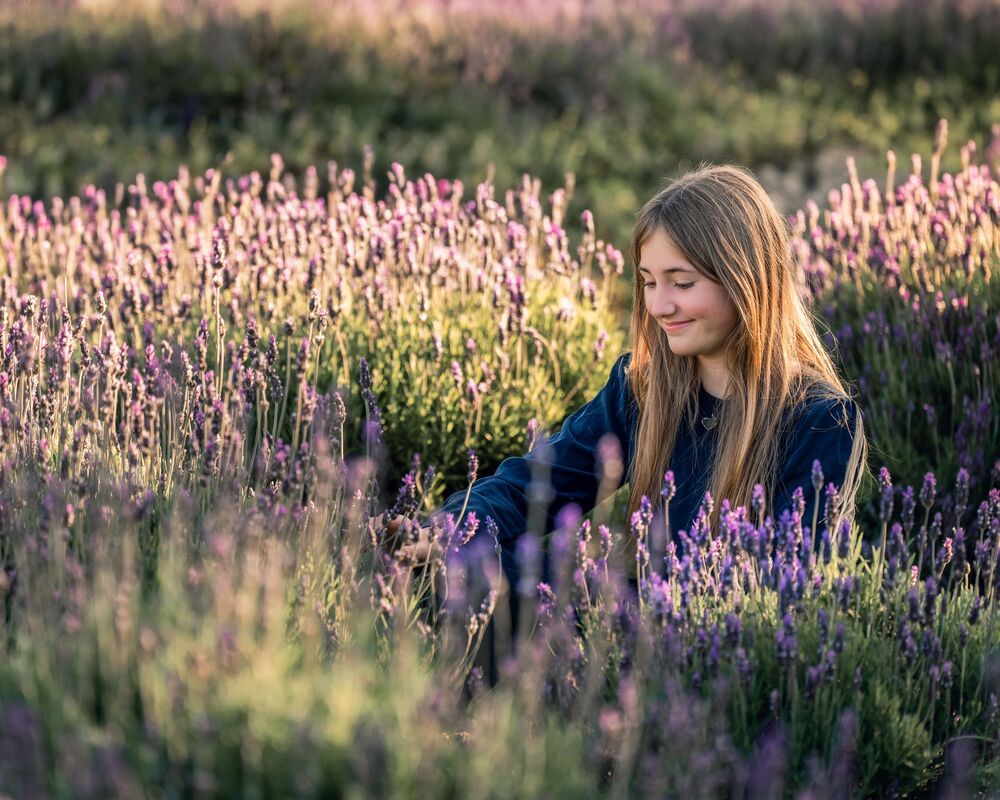Lavender (6)