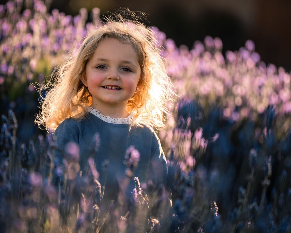 Lavender (8)