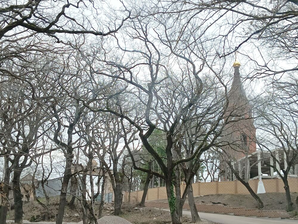 Топловский монастырь (2)