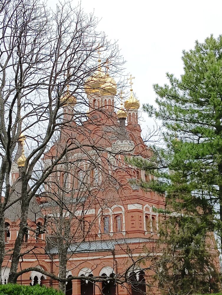 Топловский монастырь (4)