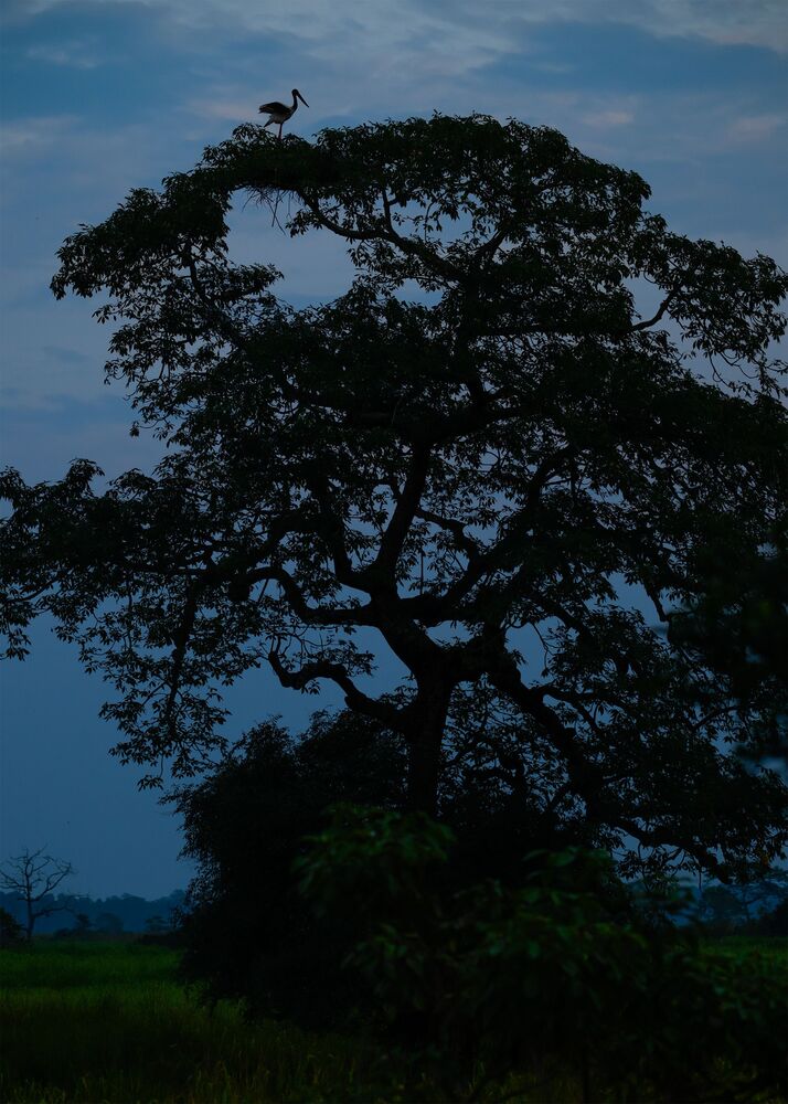 Tranquil Evening (3)