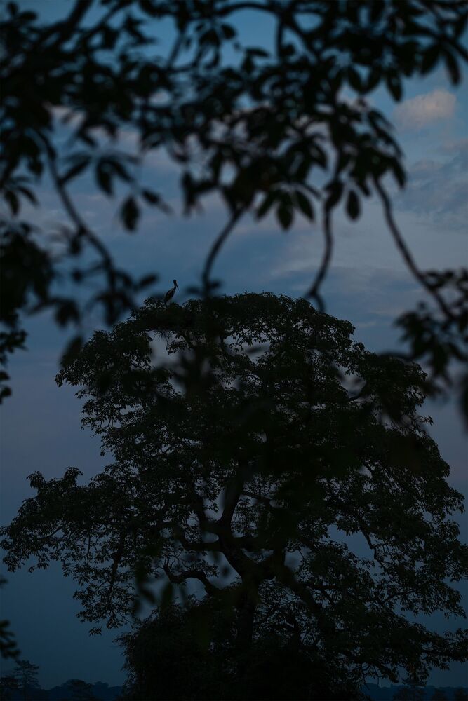 Tranquil Evening (4)