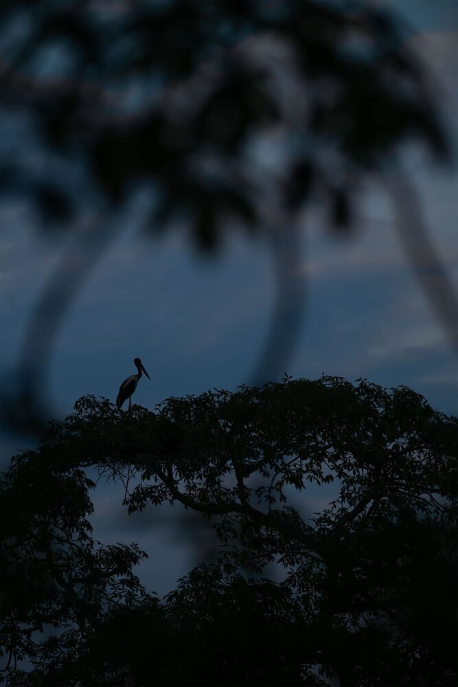 Tranquil Evening (2)