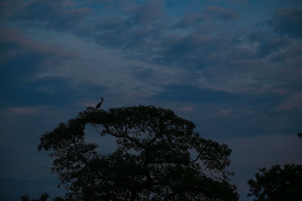 Tranquil Evening (5)