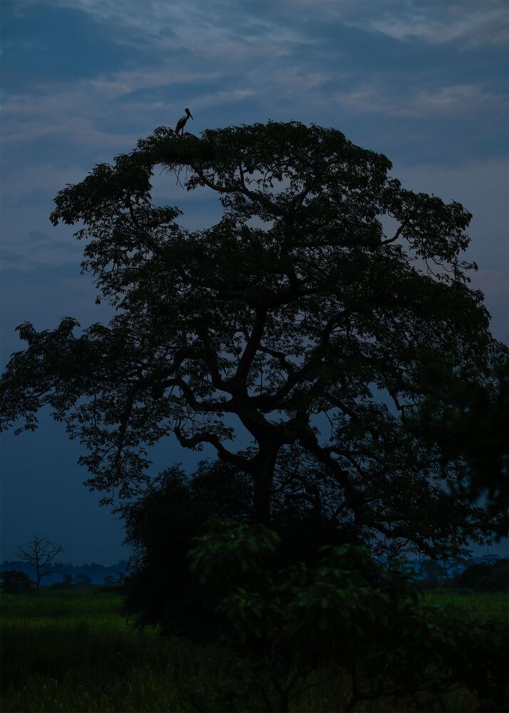 Tranquil Evening (6)
