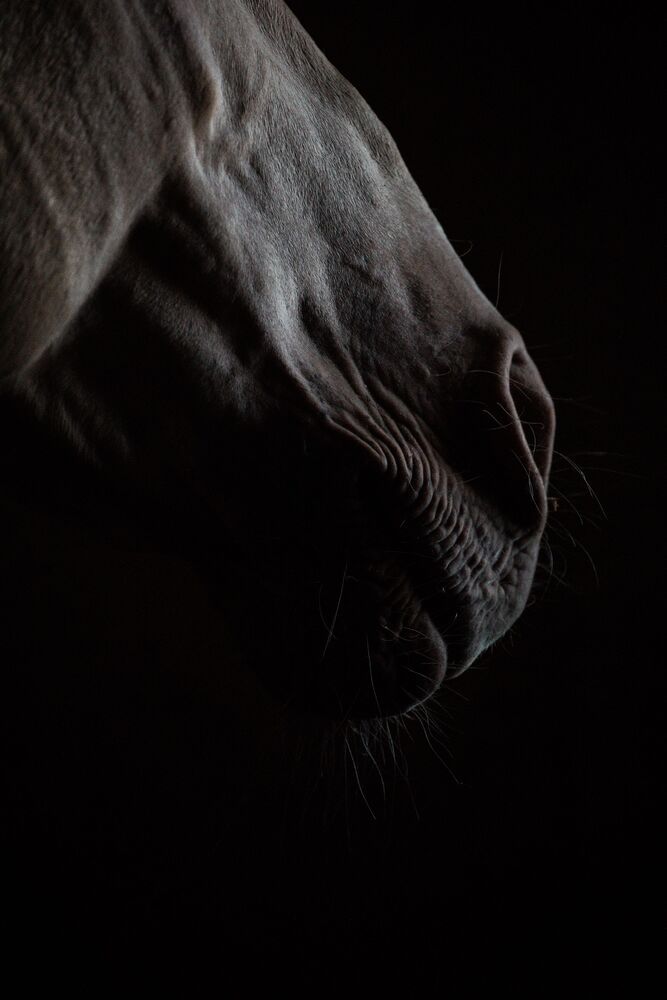 Marble (5)