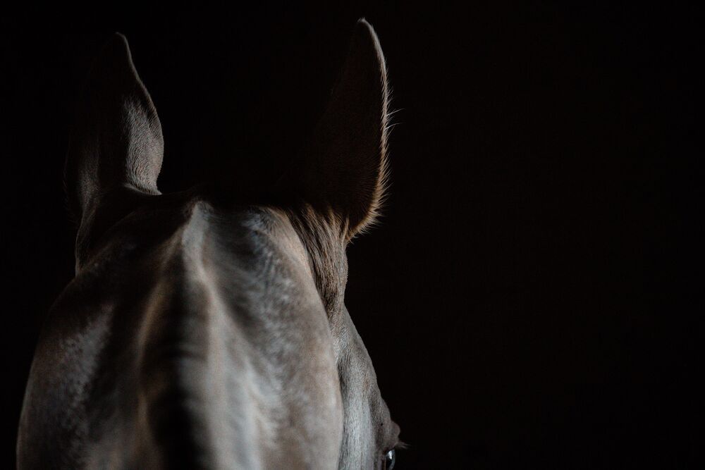 Marble (7)
