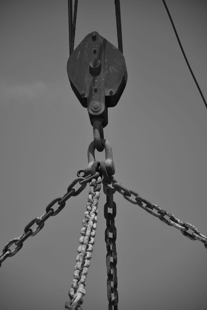 Photo #10444481 (6)