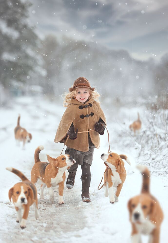 Photo #10448620 (3)