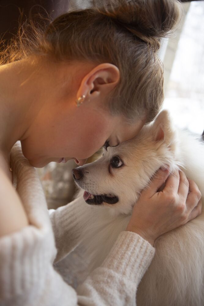 Photo #10448651 (5)