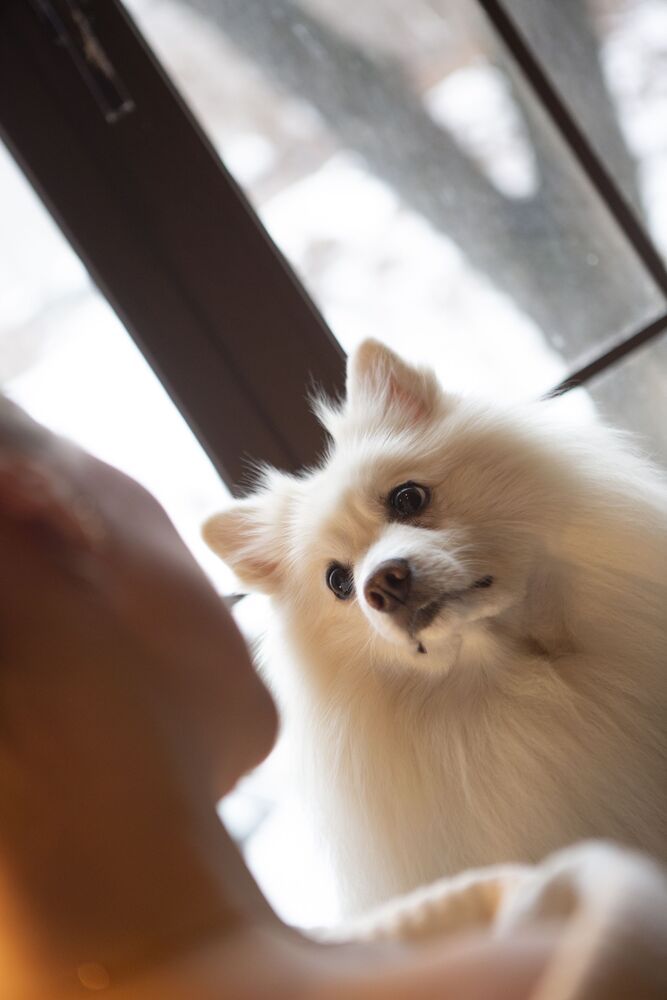 Photo #10448651 (6)