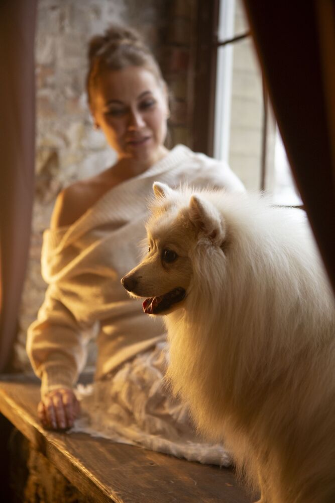 Photo #10448651 (7)