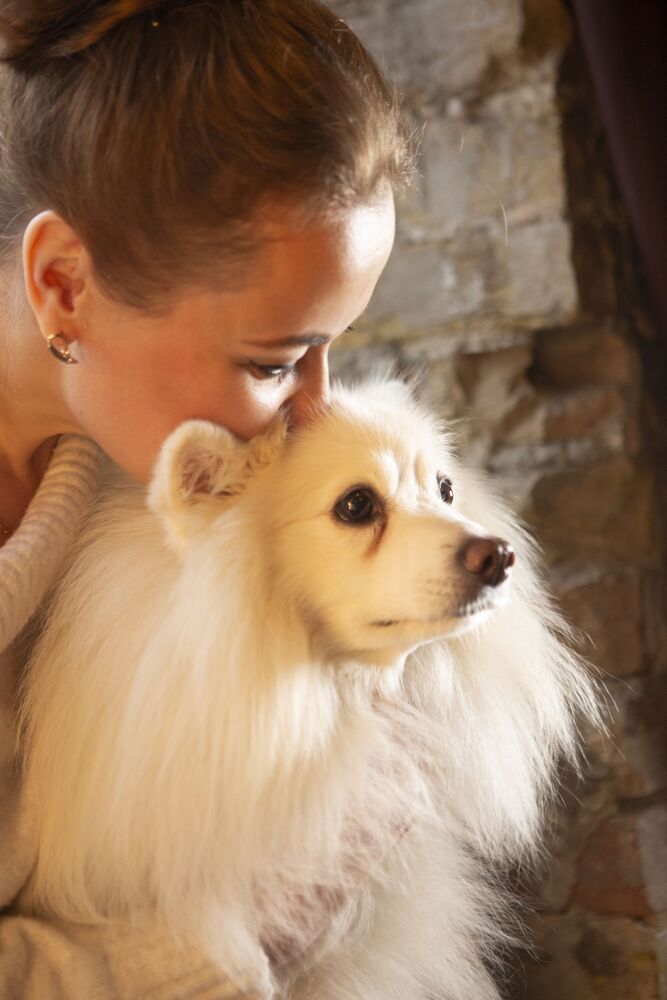 Photo #10448651 (8)