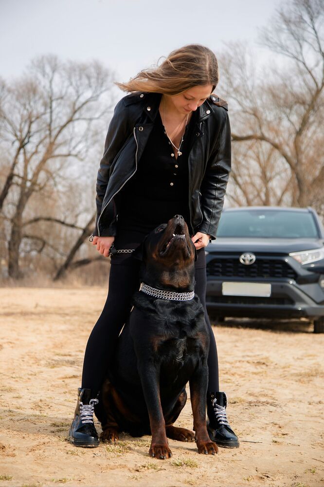Photo #10501323 (7)