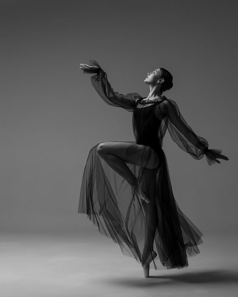 Photo #10600616 (4)