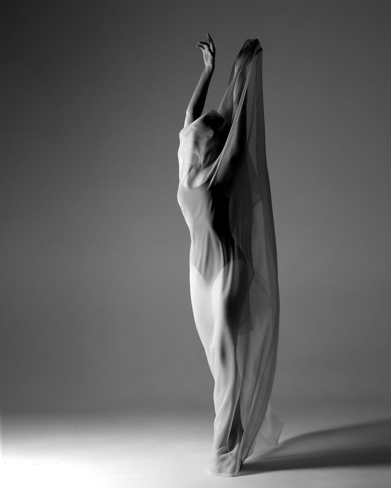 Photo #10600616 (5)