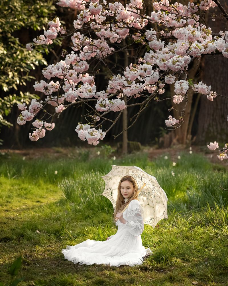 Photo #10600644 (7)