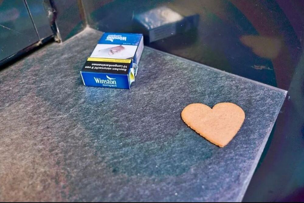The leftovers: abandoned objects in the streets of Vienna (3)