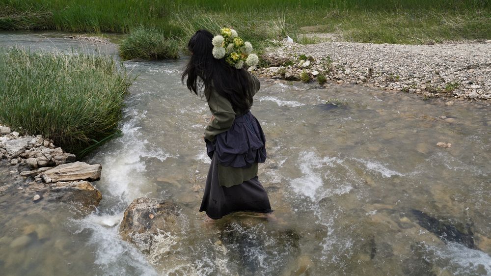 Photo #10810893 (4)