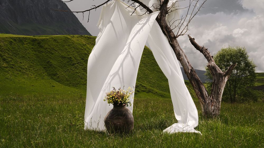 Photo #10810893 (8)