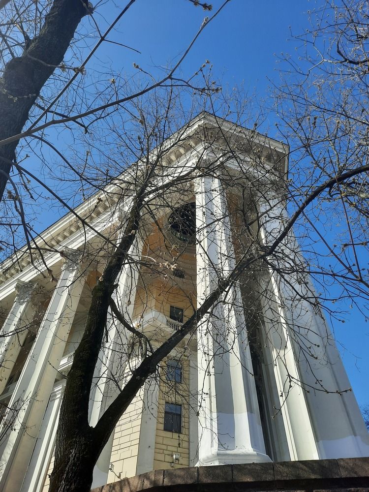 День (5)