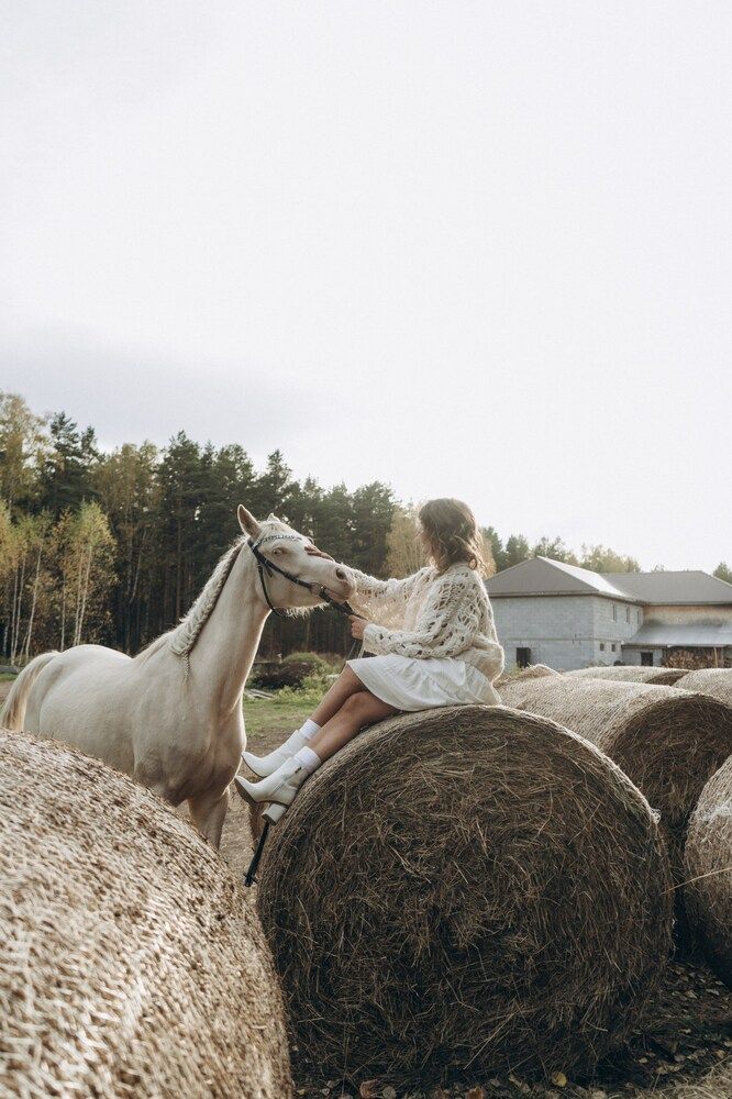 Photo #11099346 (3)
