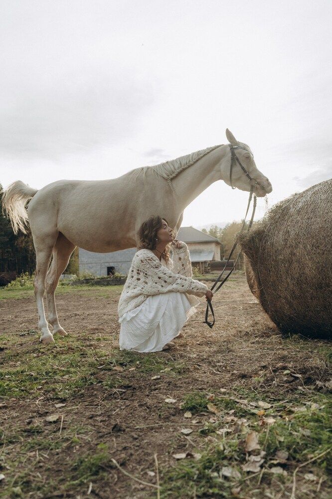Photo #11099346 (10)