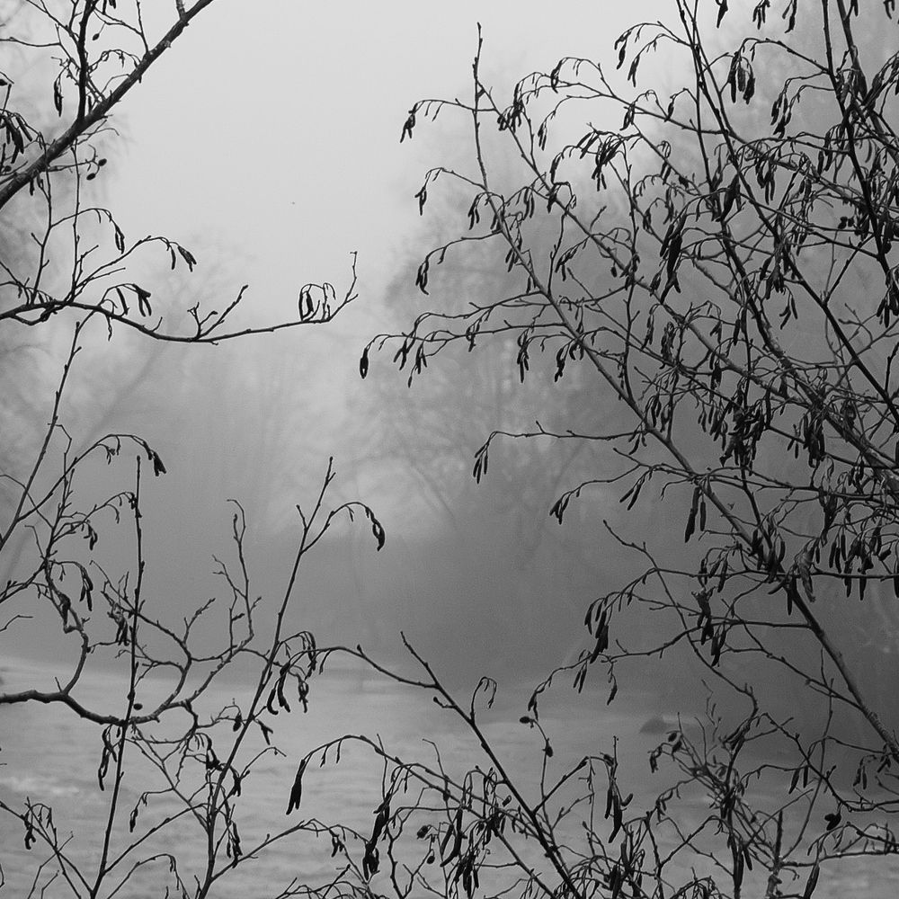 Photo #11141753 (4)