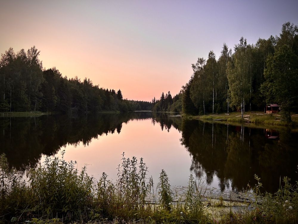 fishing by the pond (2)