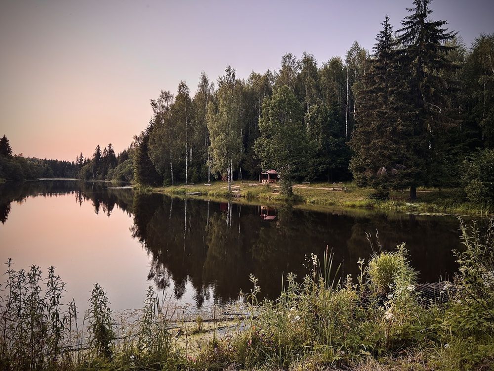 fishing by the pond (4)