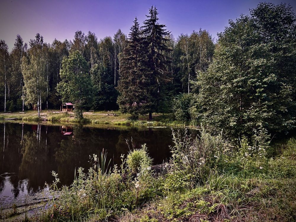 fishing by the pond (5)