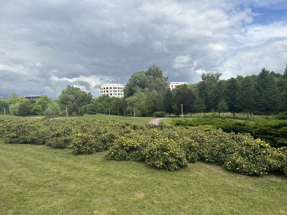 Skolkovo (11)