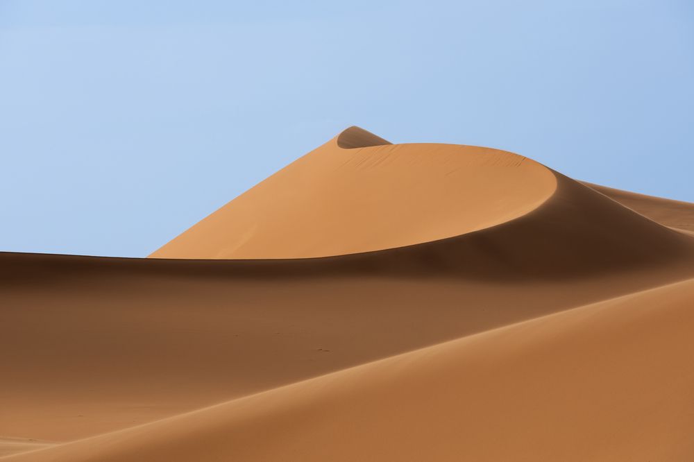 A day among the dunes (2)