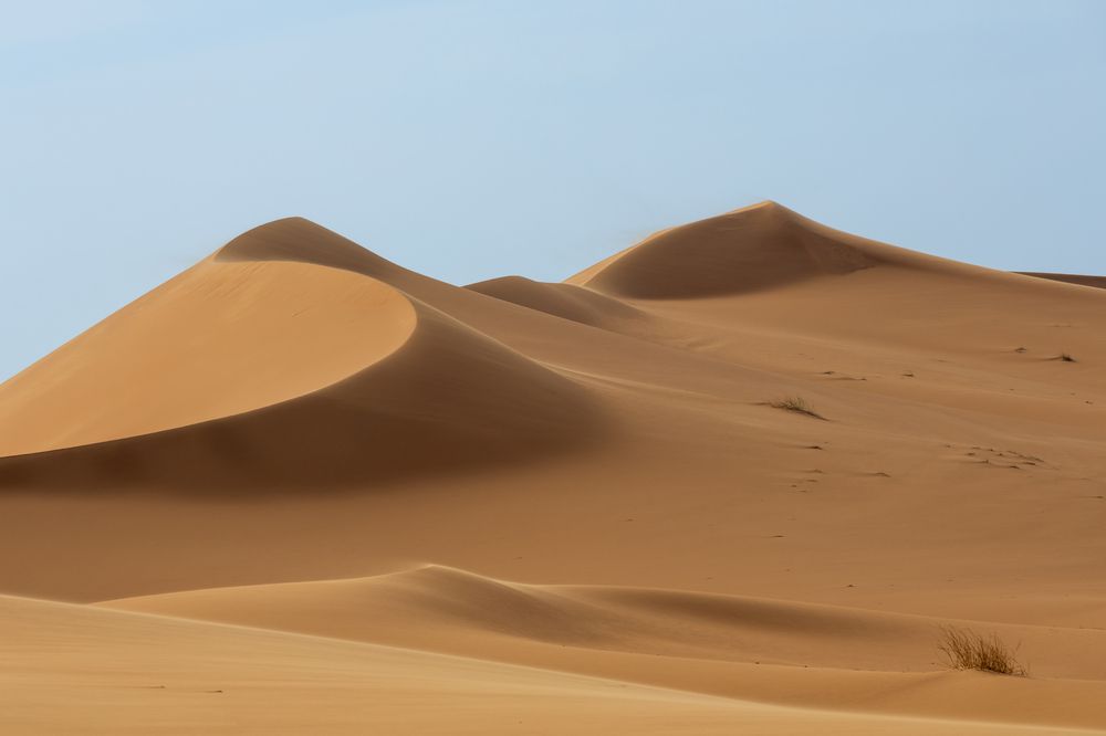 A day among the dunes (3)
