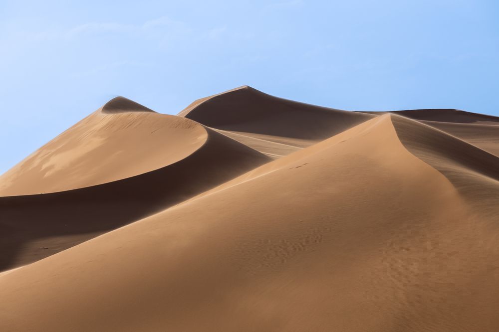 A day among the dunes (4)
