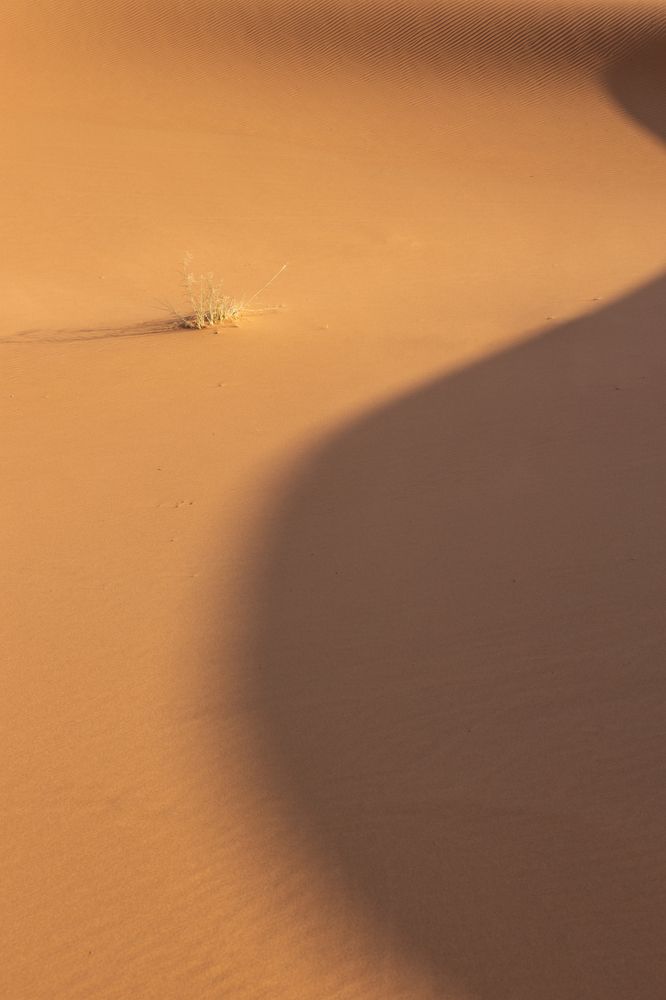 A day among the dunes (5)