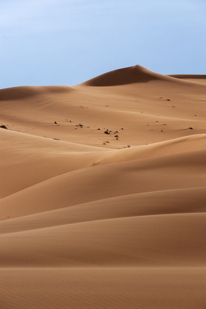 A day among the dunes (6)