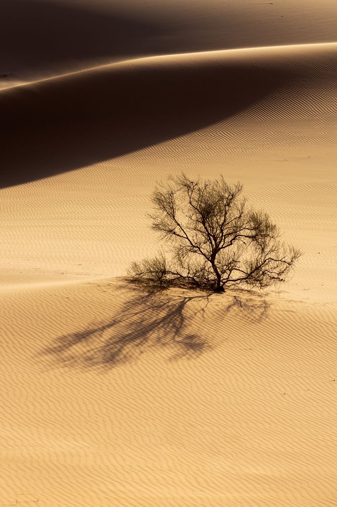 A day among the dunes (7)