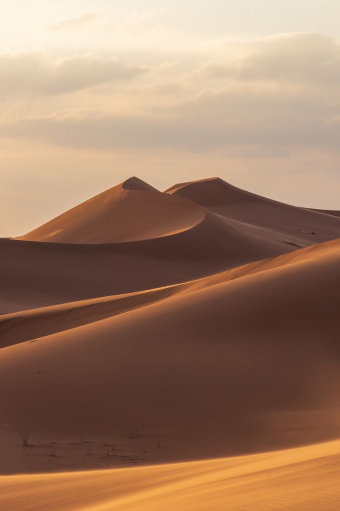 A day among the dunes (8)